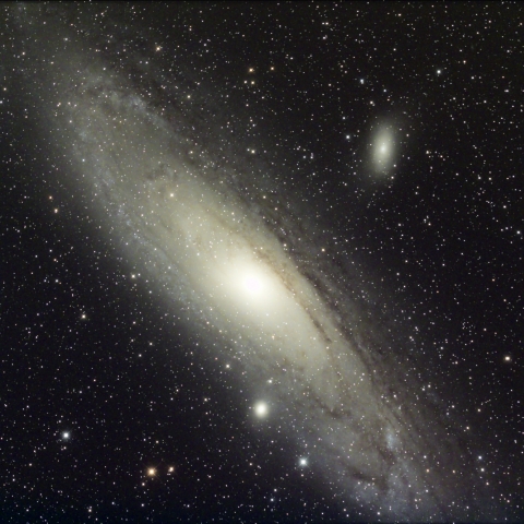 M31