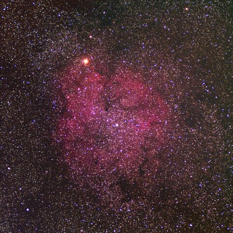 IC1396