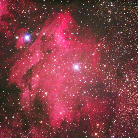 ペリカン星雲