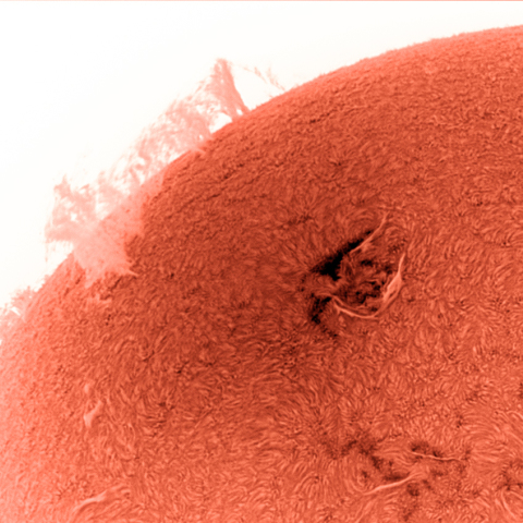 太陽彩層面 巨大プロミネンス 20150425