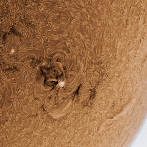 太陽彩層面 黒点群 20150426　