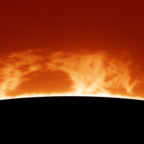 太陽彩層面 大型プロミネンス 20150822