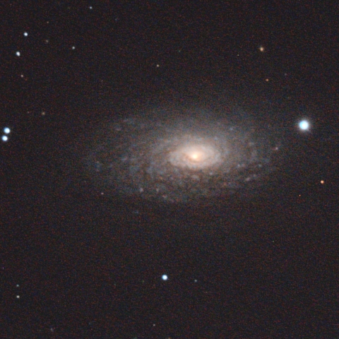 M63
