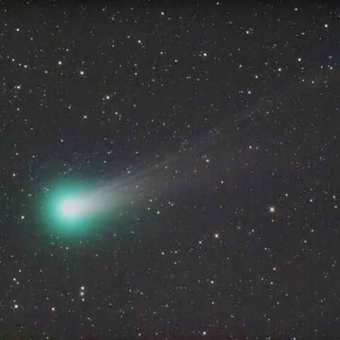 ラヴジョイ彗星