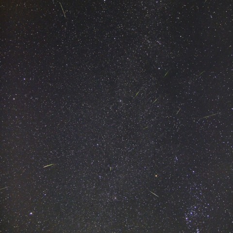 オリオン座流星群