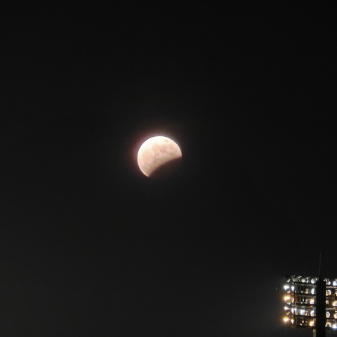 球場の上の月食