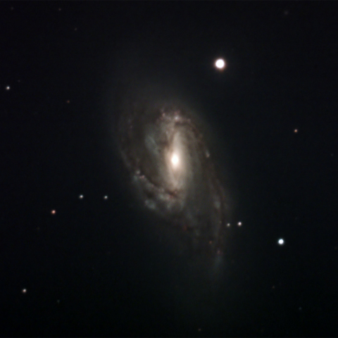 住宅街から撮影したM66 しし座の系外銀河