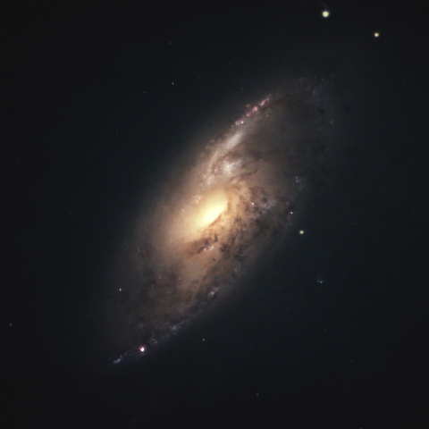 住宅街から撮影したりょうけん座の銀河　M106中心部（NGC 4258）