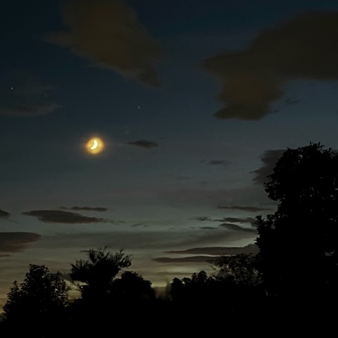 沈む蠍と細い月