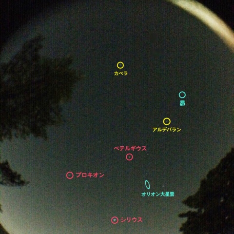 オリオン座流星群の夜