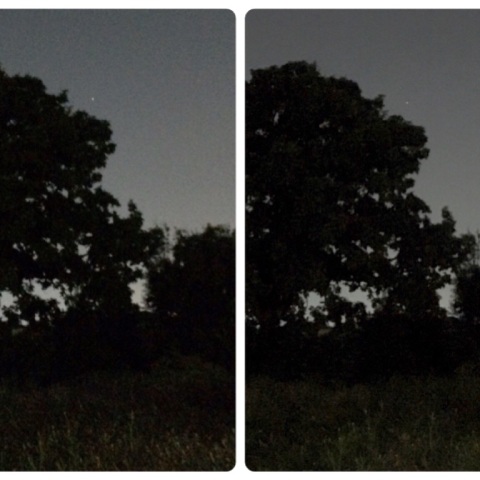 3D アークトゥルス