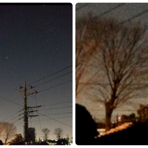 正月の街中カノープス