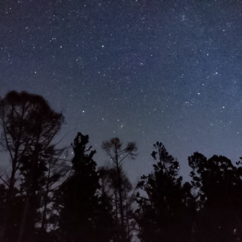 カシオペア座とアンドロメダ大星雲(スマホで撮る星々)