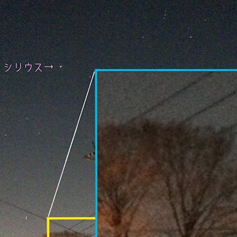 元旦のカノープス・スマホで撮る星々