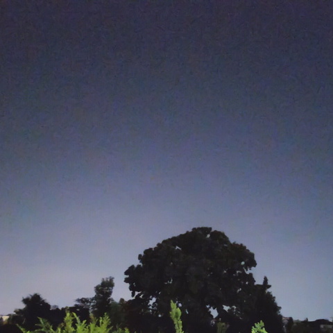 街中でのペルセウス座流星