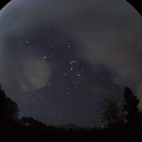 獅子座流星群日の散在流星