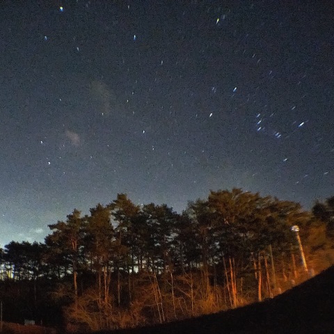 ふたご座流星群日の散在流星