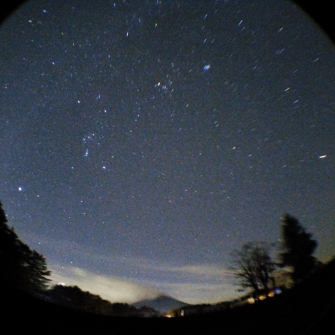 ふたご座流星群日の星座
