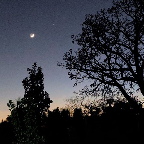 月と土星と木星と…