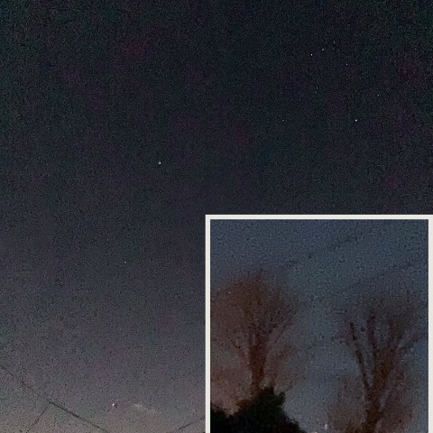 元旦のカノープス