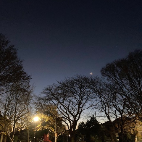 街中の下弦の月と春の星々