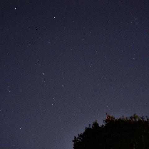 街中でレナード彗星アプローチ