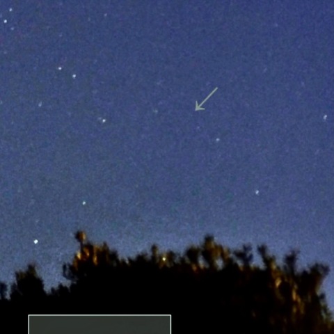 街中でレナード彗星アプローチ(部分拡大)