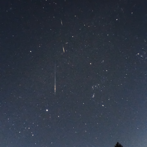 カストルの涙 (部分トリミング版)