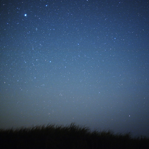北緯24度のシリウスとカノープス2012