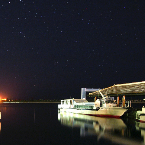 珍しい1等星ふたつ