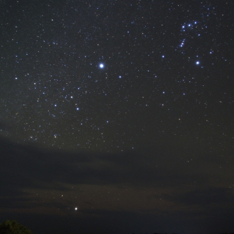 種子島のカノープス