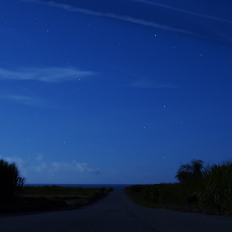 水平線と南十字星