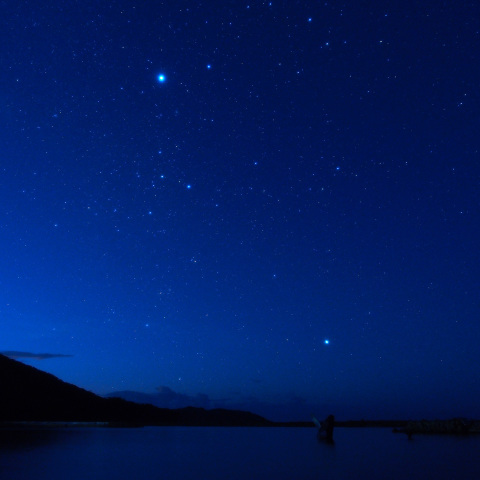 9月のシリウスとカノープス