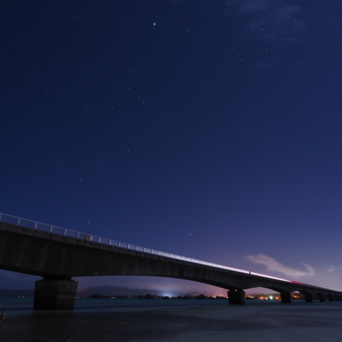 シリウスとカノープス2020