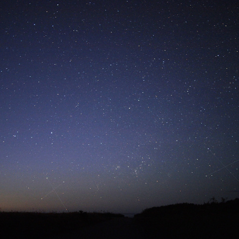 南十字とにせ十字
