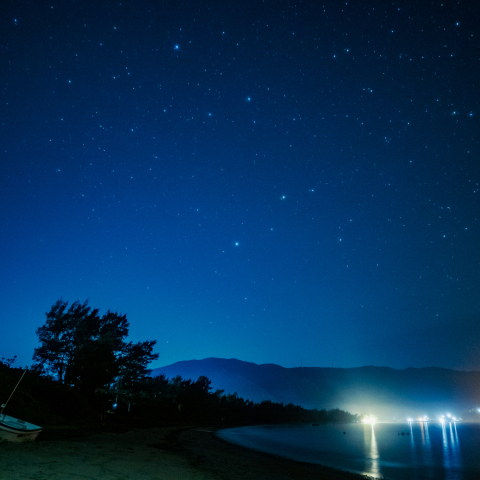 駆け降りる獅子