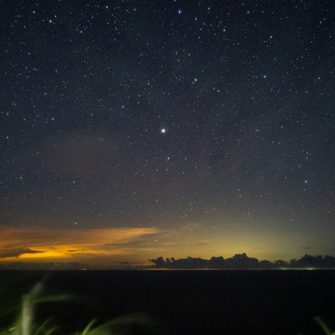 アルクトゥールスと台湾の気配