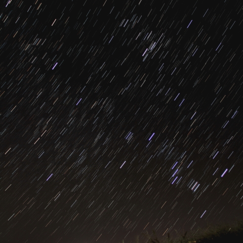 やあ、また会ったね。