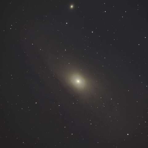 M31