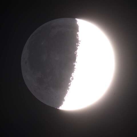 月齢6.9　地球照