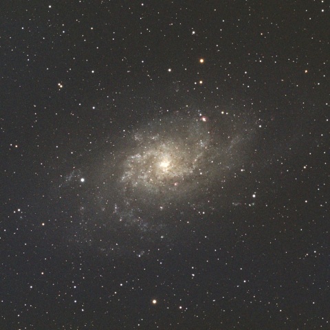 M33