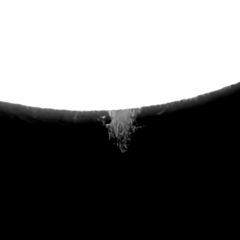 10月28日の太陽 Ha 版