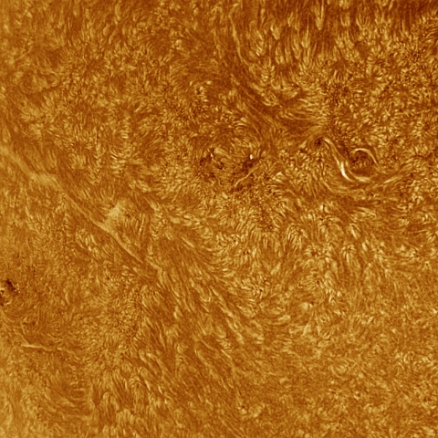 10月28日の太陽 Ha 擬似カラー版