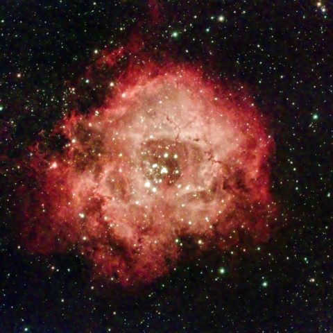 VESPERAで撮るNGC2237