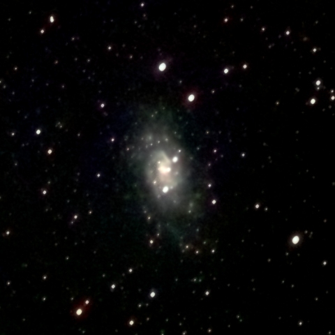 VESPERAで撮るNGC2403