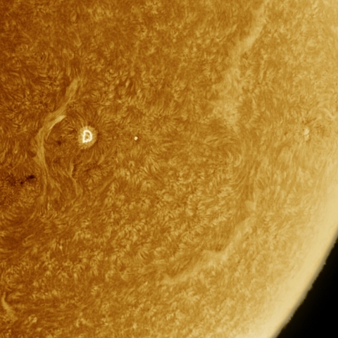 12月28日の太陽 Ha 擬似カラー版