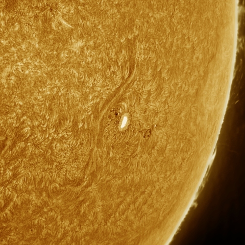 12月30日の太陽 Ha 擬似カラー版