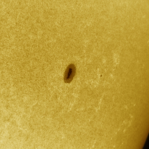 12月30日の太陽 白色光 擬似カラー版