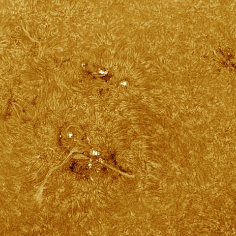 1月06日の太陽 Ha 擬似カラー版