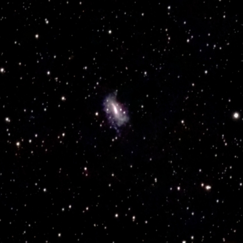 VESPERAで撮るNGC925